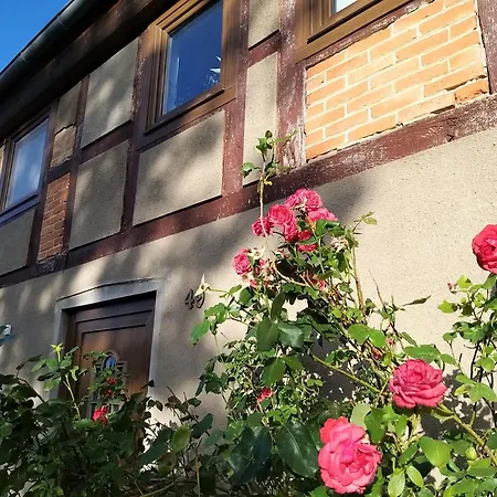 Prignitzhof Apartment *